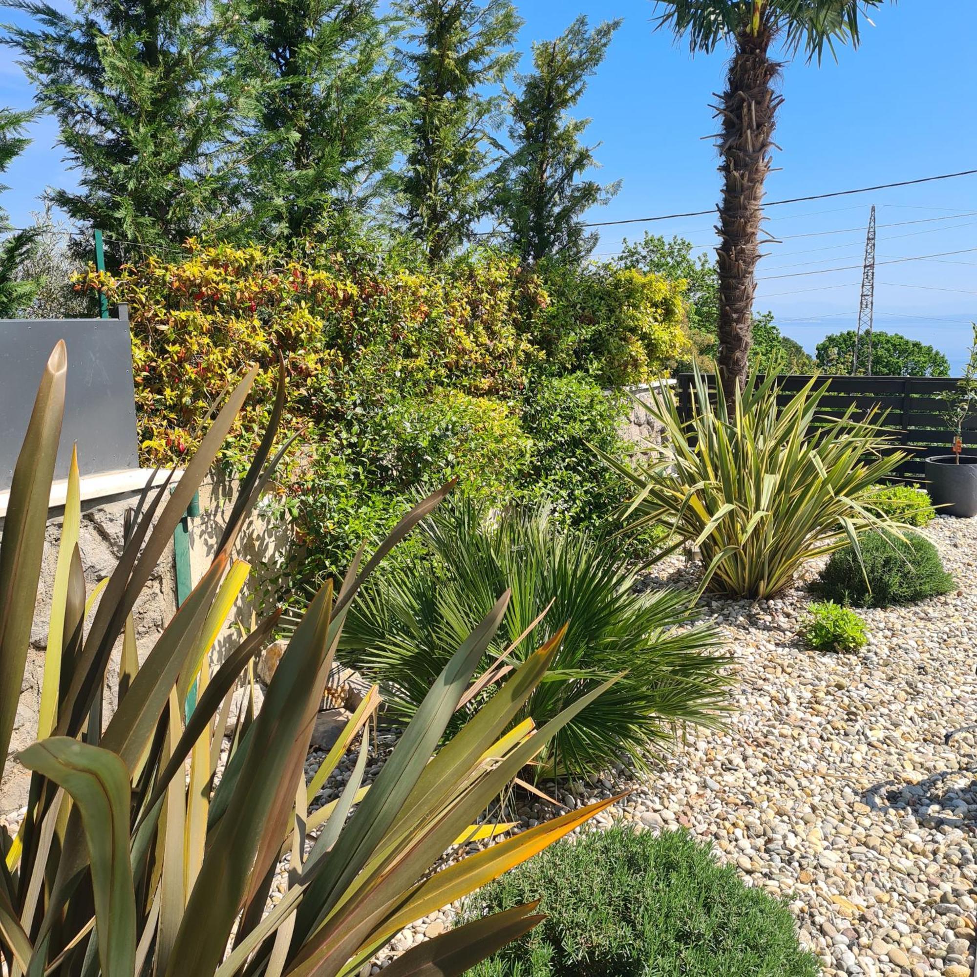 Villa Adriatic, Apartment Enio With Swimming Pool, Panoramic Sew View, Free Parking Ičići Екстериор снимка